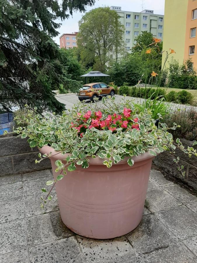 Kvetinovy Apartman A3B V Chomutove Extérieur photo